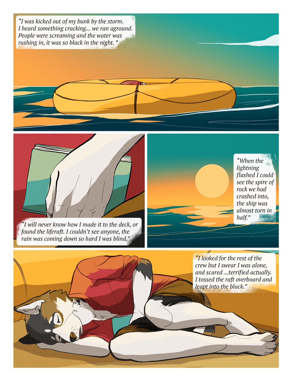 Page 3